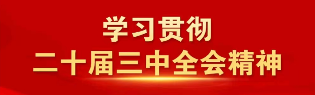 学习贯彻二十届三中全会精神